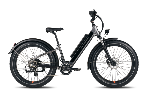 RadRhino 6 Plus Step-Thru electric bike