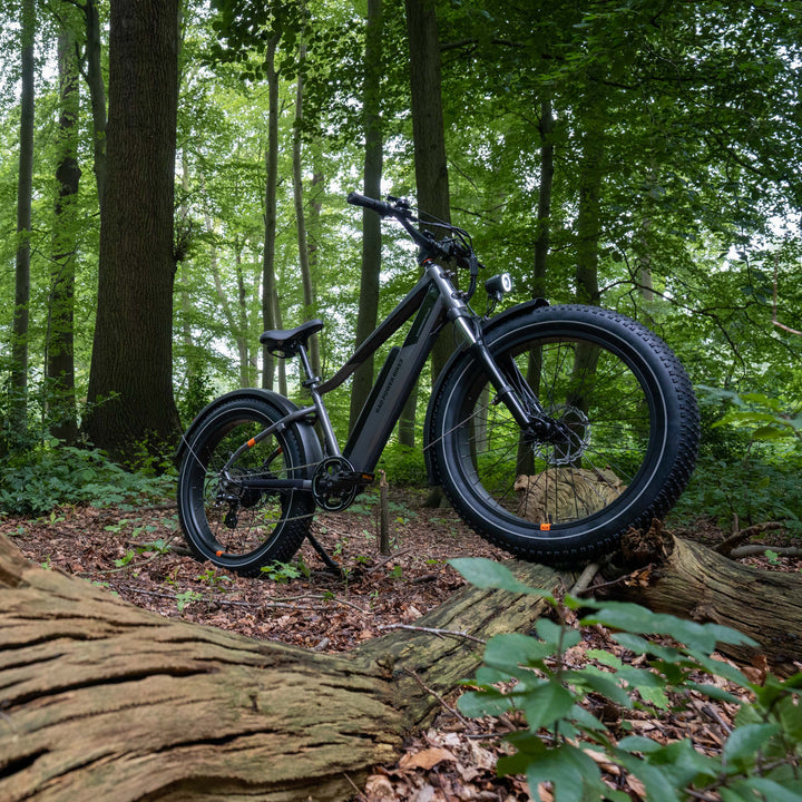 Fat Tire Electric Bicycle In Forest