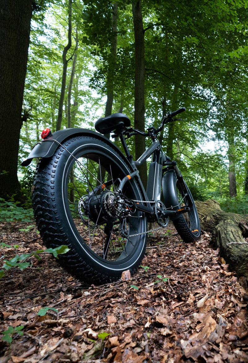 Fat Tire Electric Bicycle in Forest